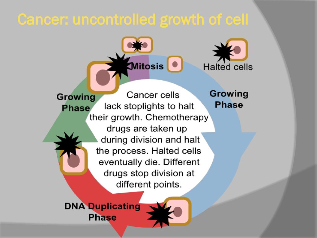 Losing Control of the Cell cycle Biology Diagrams