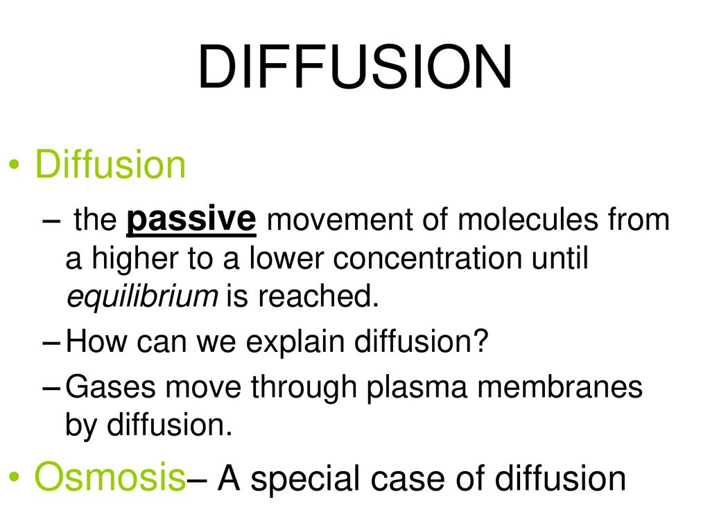 Plasma Membrane Structure and Function - ppt download