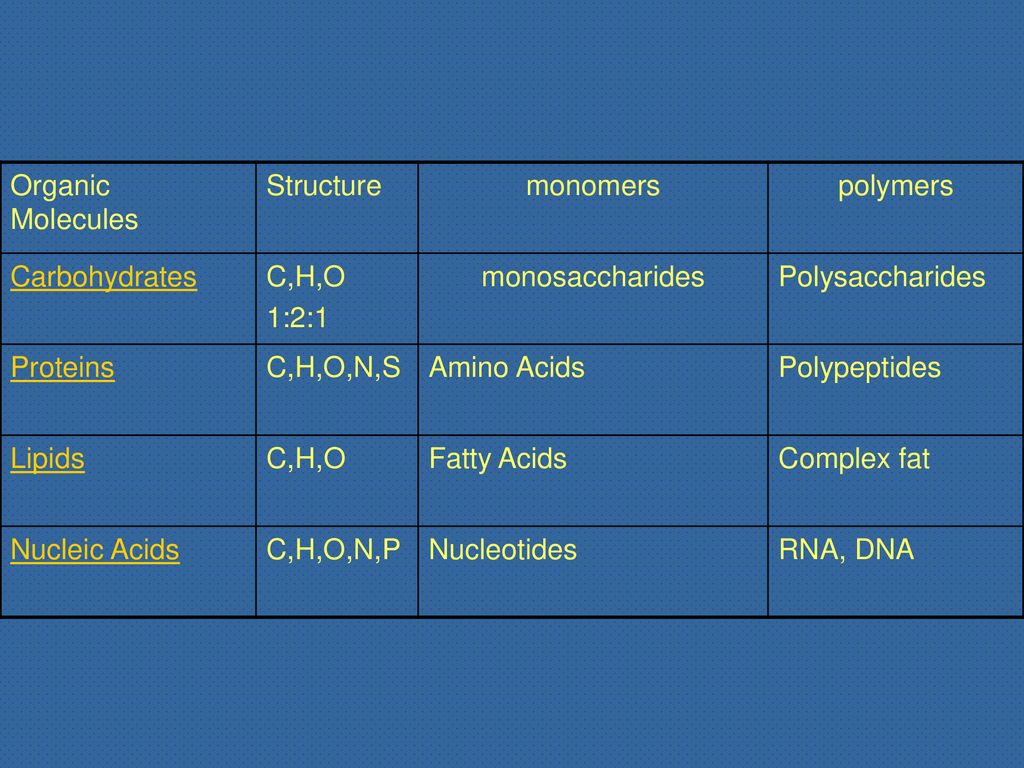 polymer of carbohydrates lipids and proteins