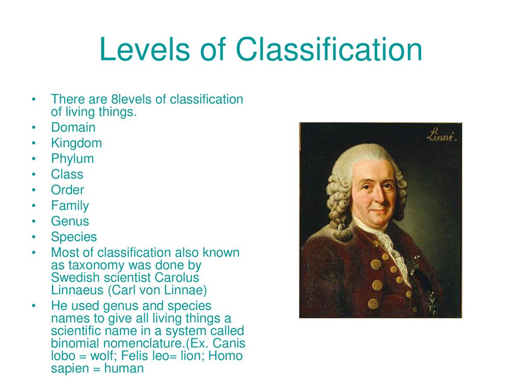 Population Change (Evolution) - ppt download