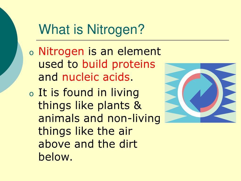 Cycles of Matter Biogeochemical Cycles ppt download
