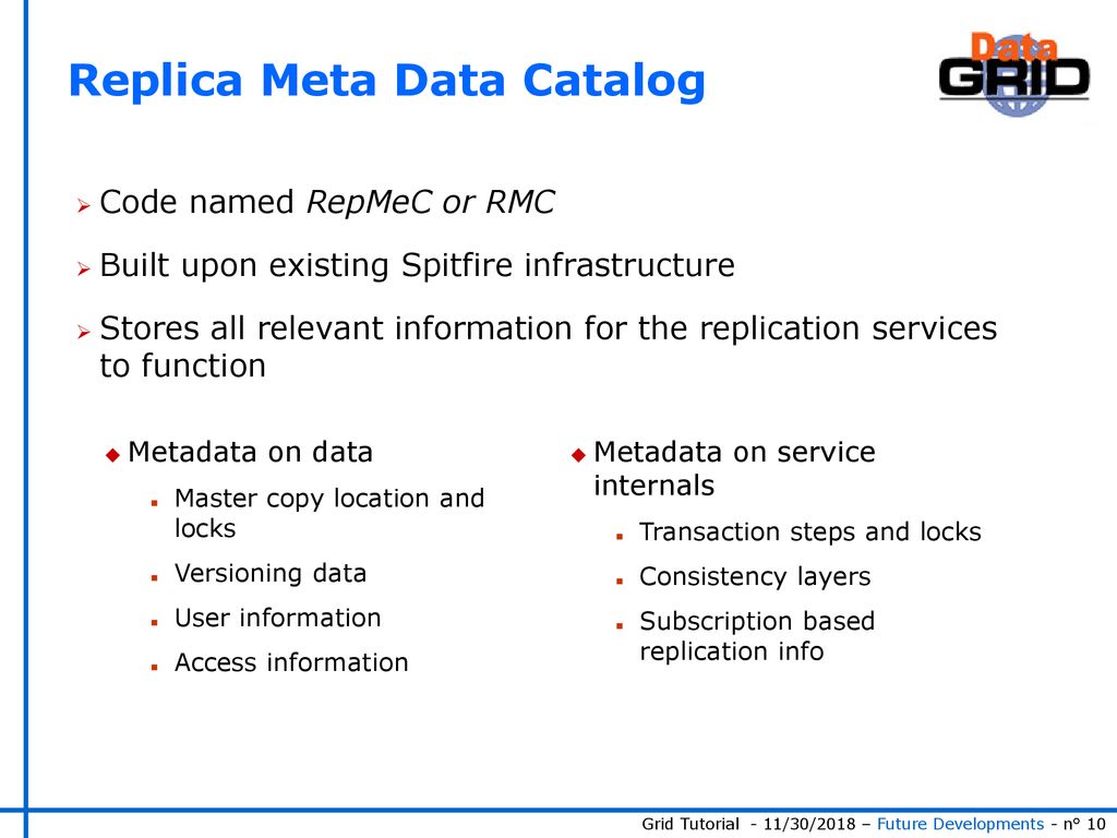 Future Developments in the EU DataGrid - ppt download