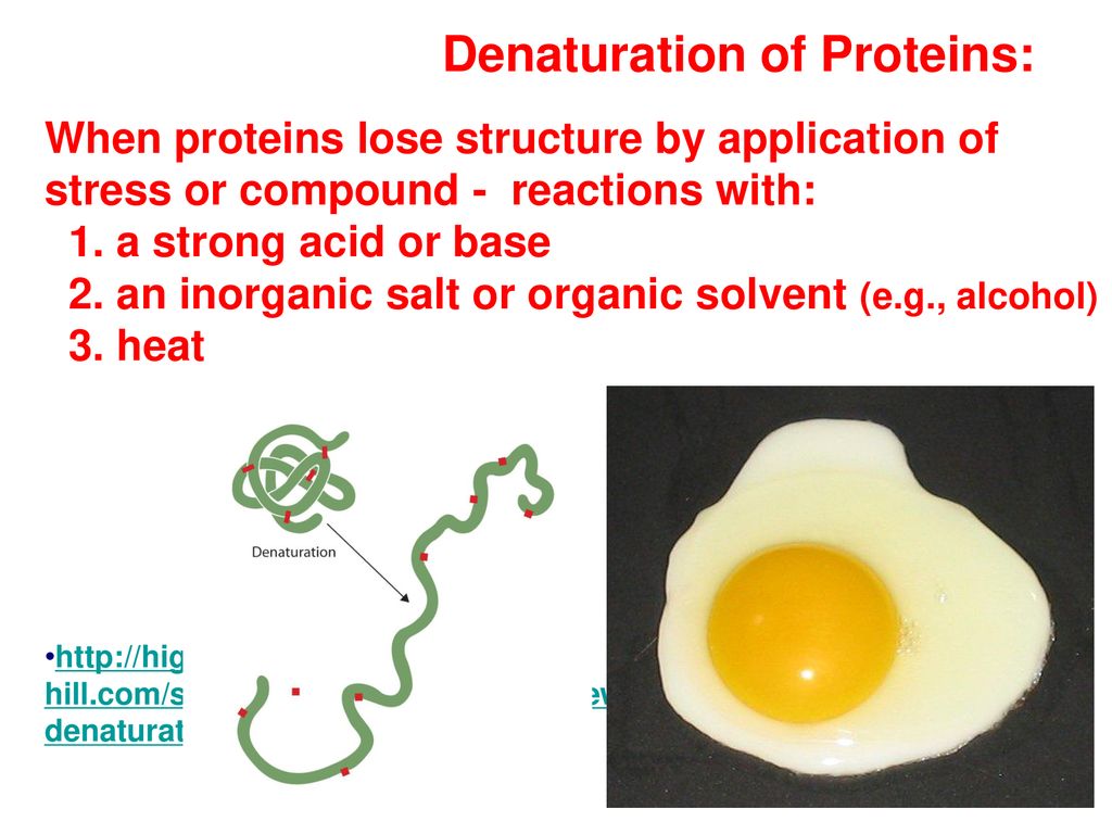 Denaturation of Proteins: