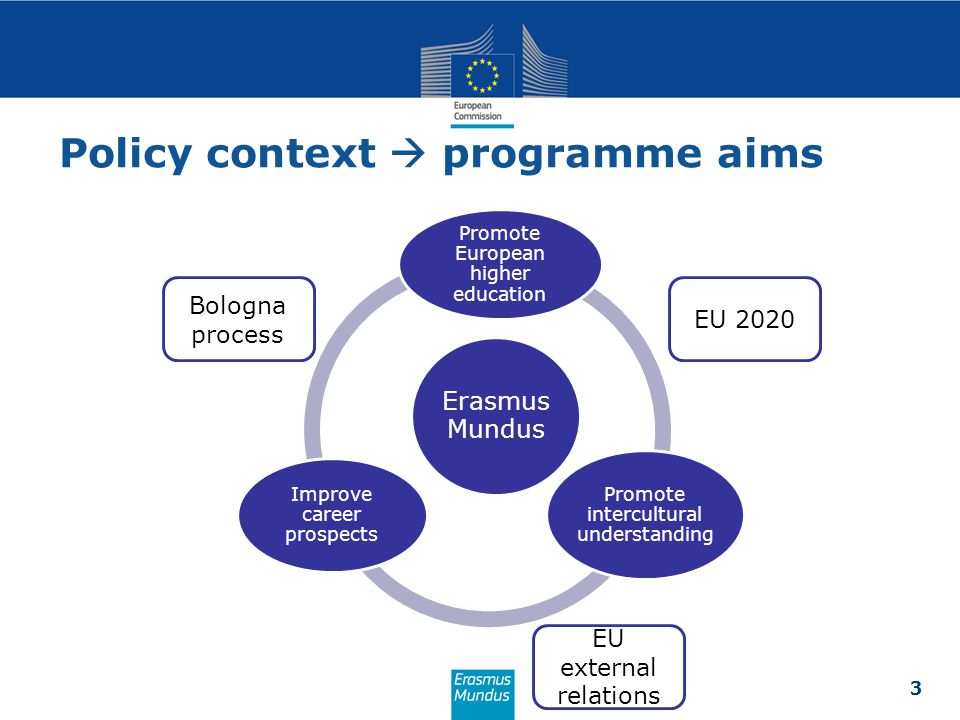 Policy context  programme aims