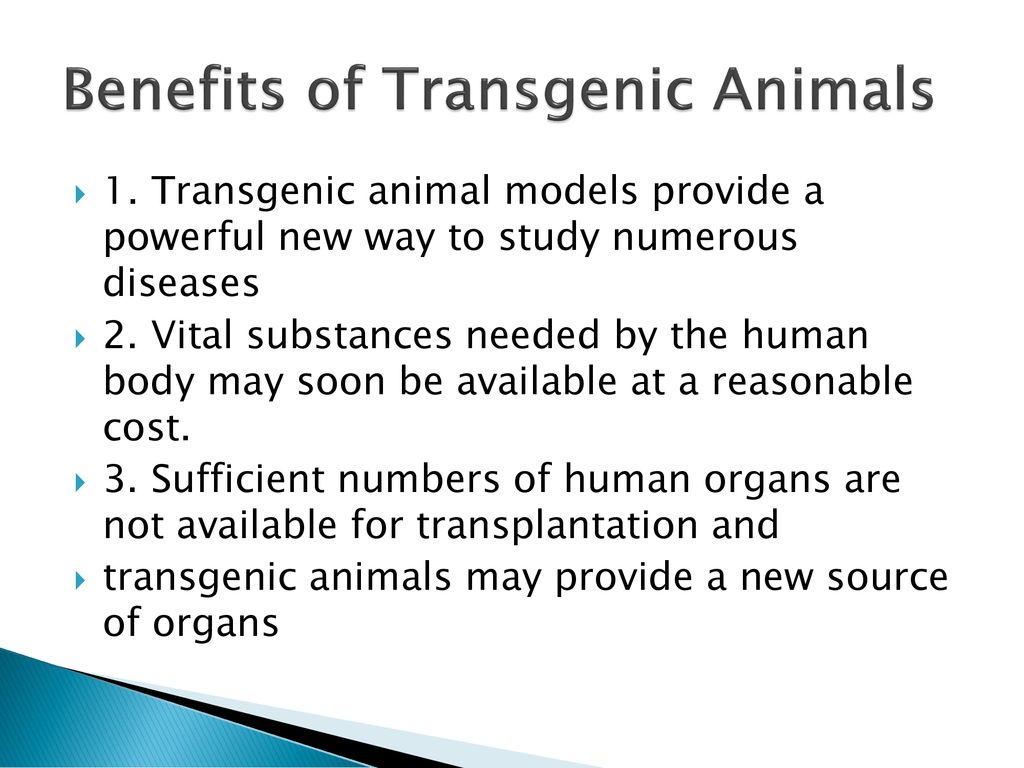 Transgenic Animals Unit 3, Chapter ppt download