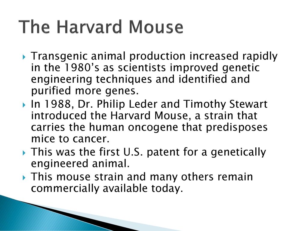 Transgenic Animals Unit 3, Chapter ppt download
