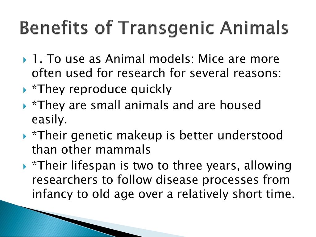 Transgenic Animals Unit 3, Chapter ppt download