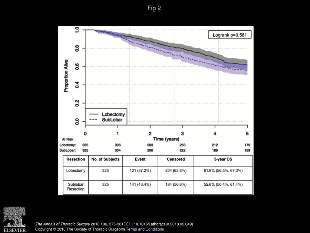 Fig 2 Kaplan-Meier curve for overall survival (OS) by extent of surgical resection: propensity score matched patients.