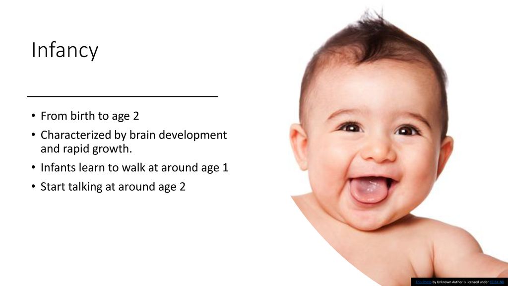 Stages of human development - ppt download