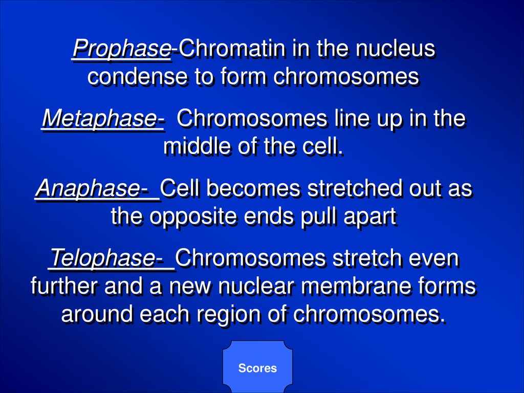 Welcome to Jeopardy!. Biology Diagrams