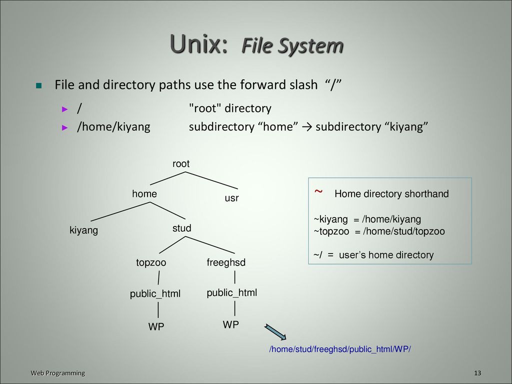 Web programming essentials ppt download