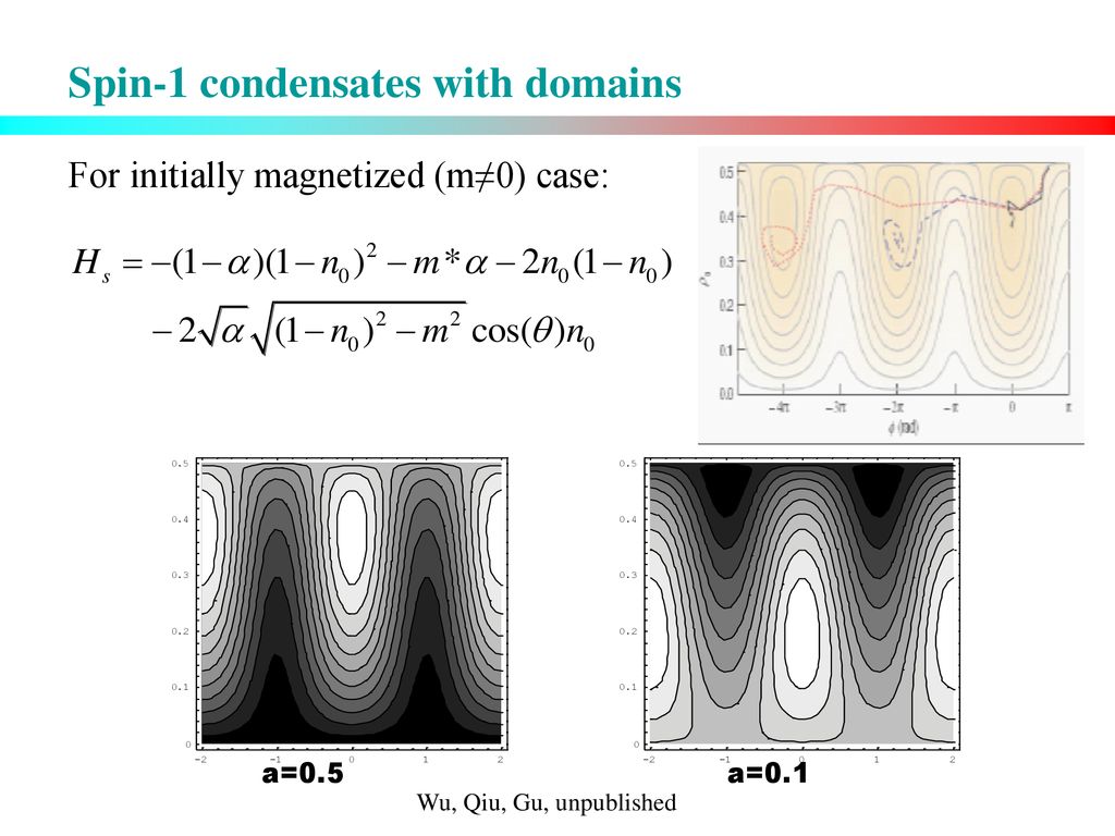 Spin-1 condensates with domains