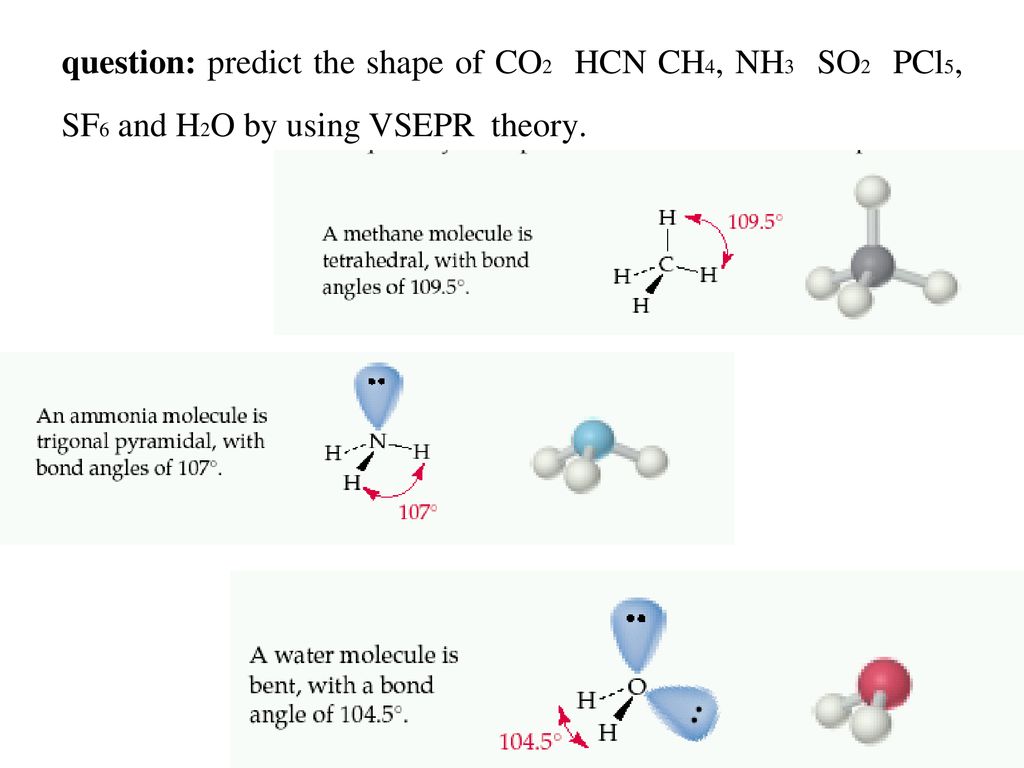 What Makes The Molecular Shape Of Co2 And Nh3 Different