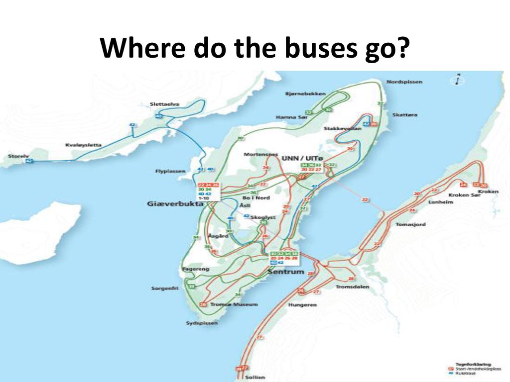 THE BUS SYSTEM IN TROMSØ - ppt download