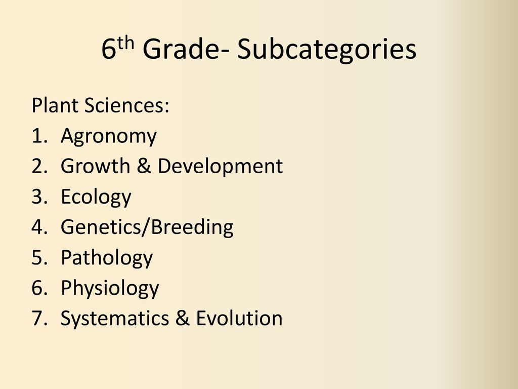 6th Grade- Subcategories