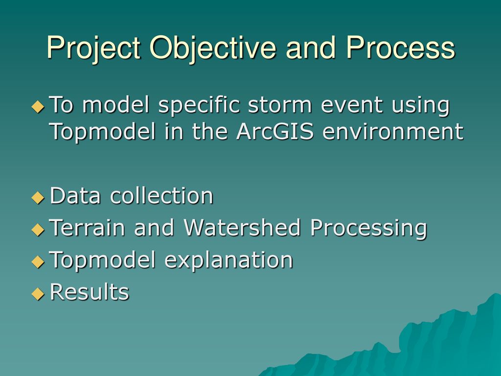 Project Objective and Process