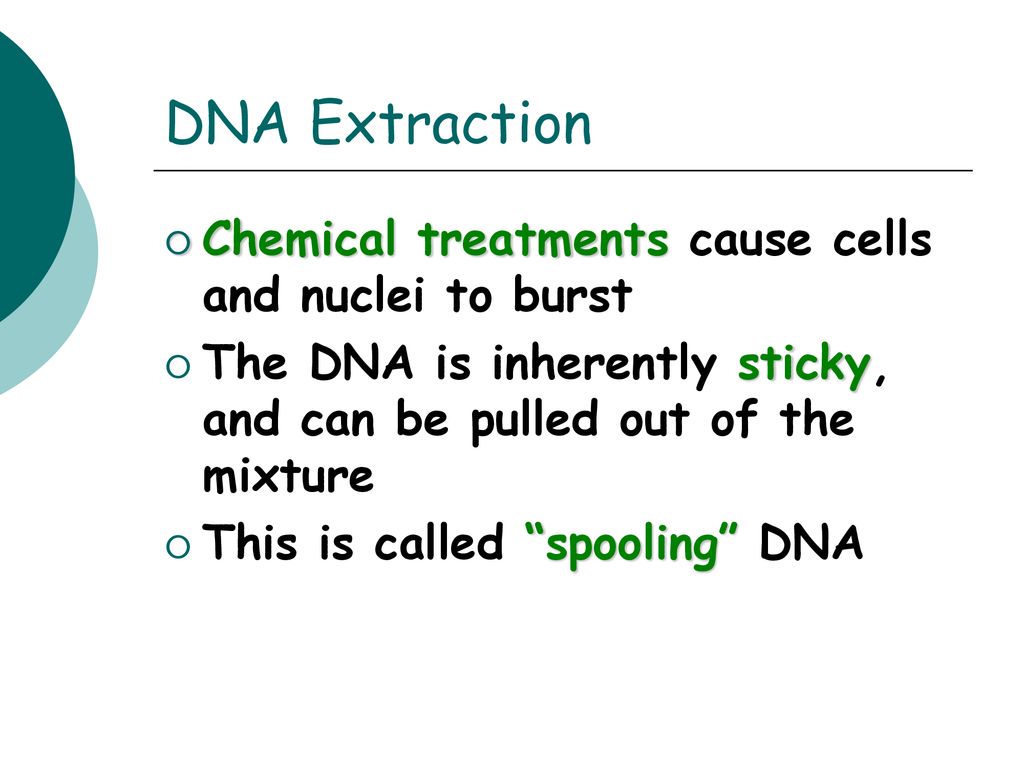 DNA TECHNOLOGY. - ppt download