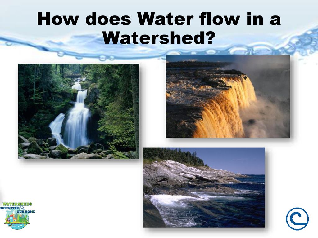 Watersheds Our Water, Our Home ppt download