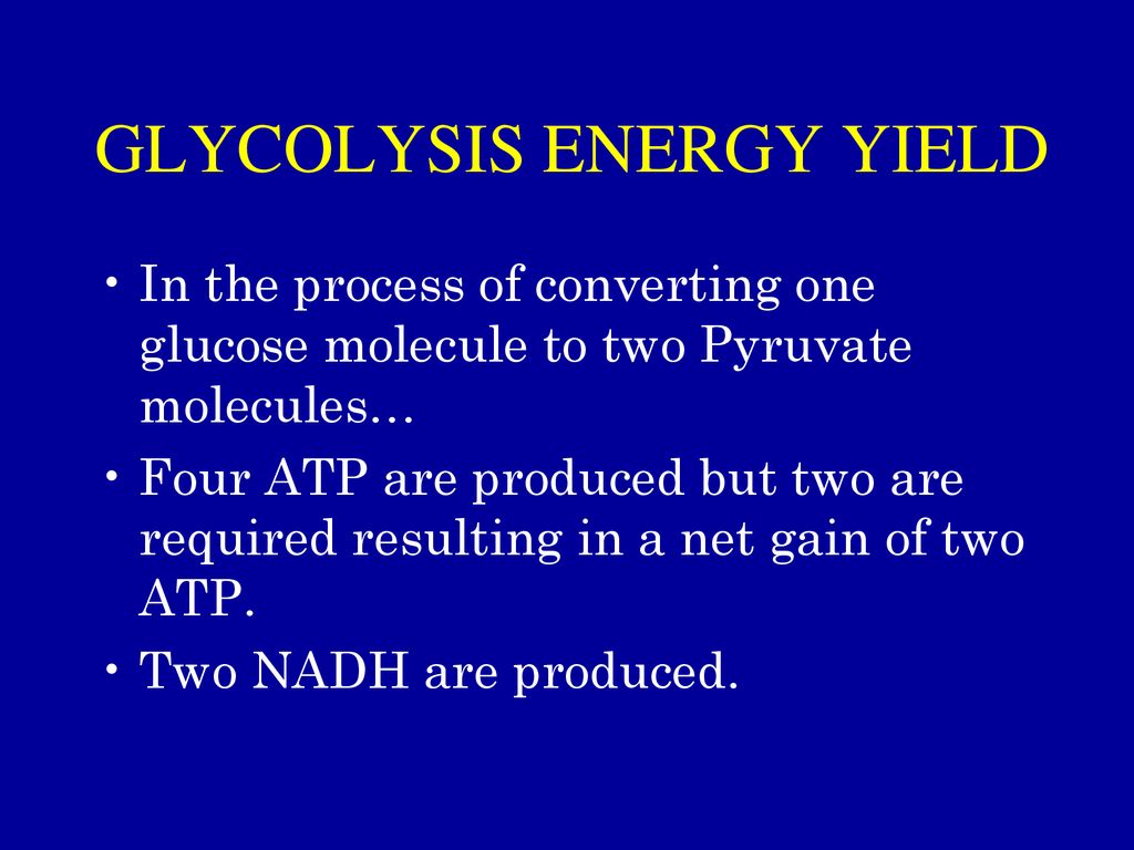 CELL RESPIRATION The Big Picture Ppt Download cell-respiration-the-big-picture-ppt-download