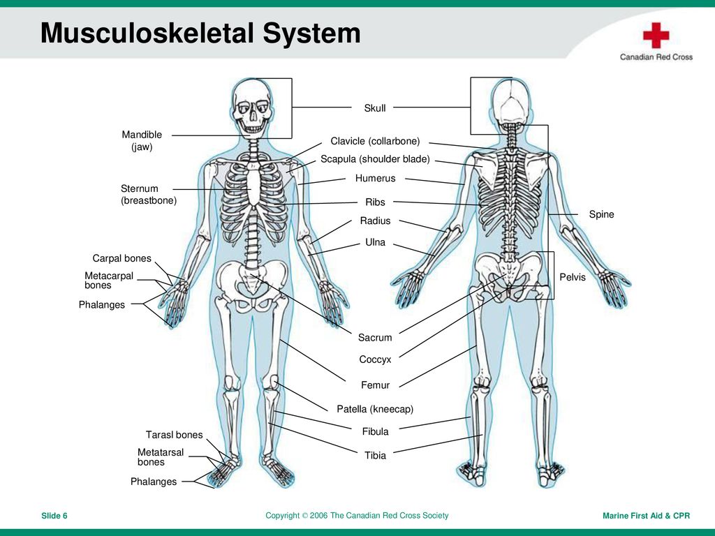 Marine Requirements for First Aid Kits - ppt download