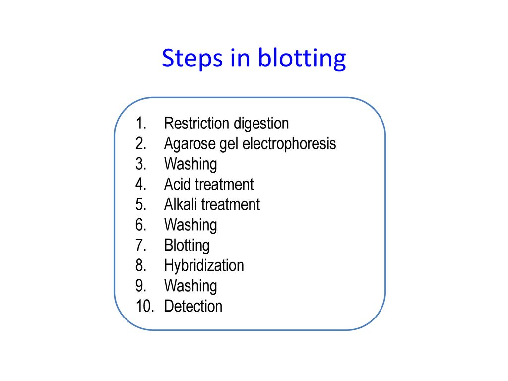 Southern Blotting. - ppt download