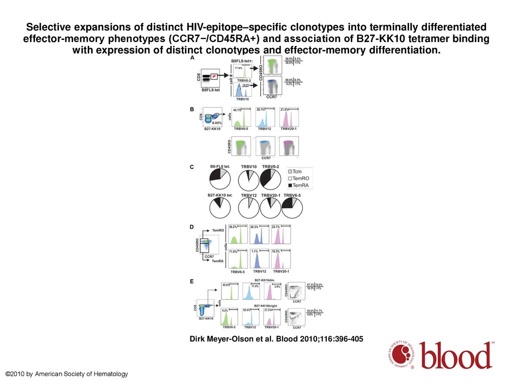 Selective expansions of distinct HIV-epitope–specific clonotypes into terminally differentiated effector-memory phenotypes (CCR7−/CD45RA+) and association of B27-KK10 tetramer binding with expression of distinct clonotypes and effector-memory differentiation.