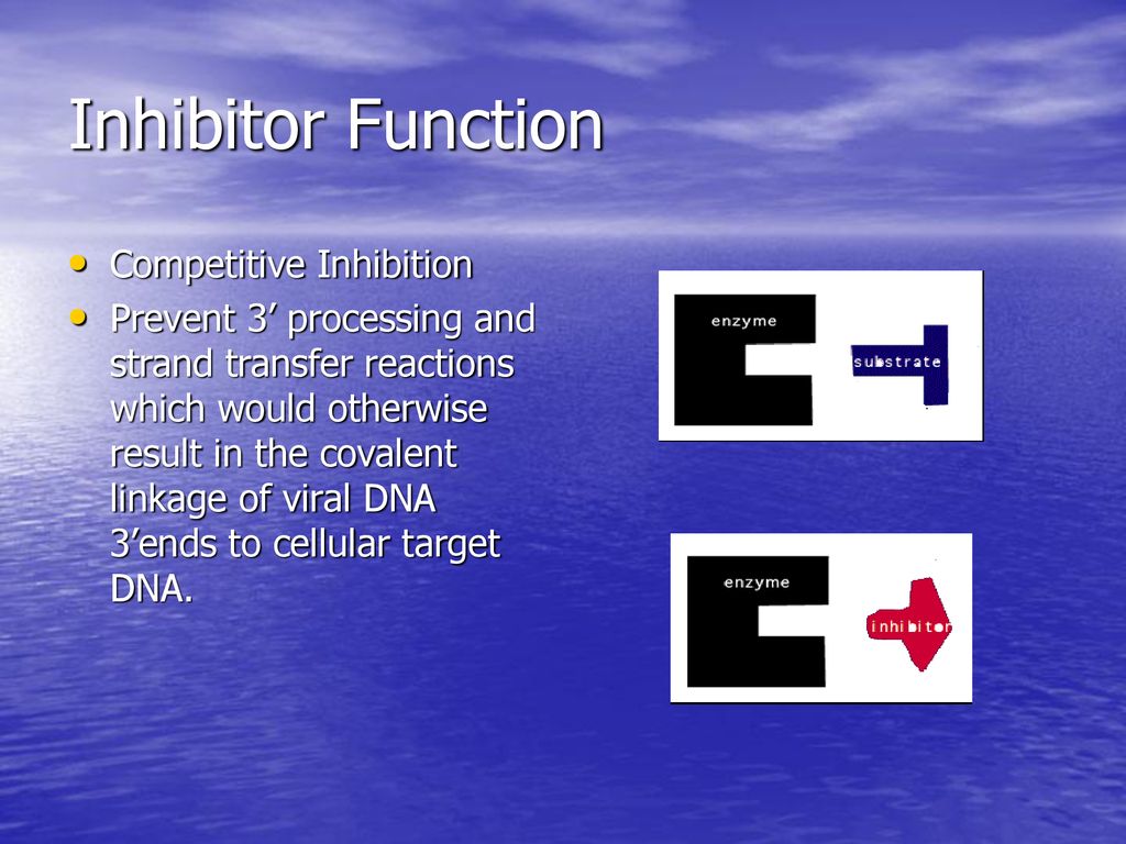 Inhibitor Function Competitive Inhibition