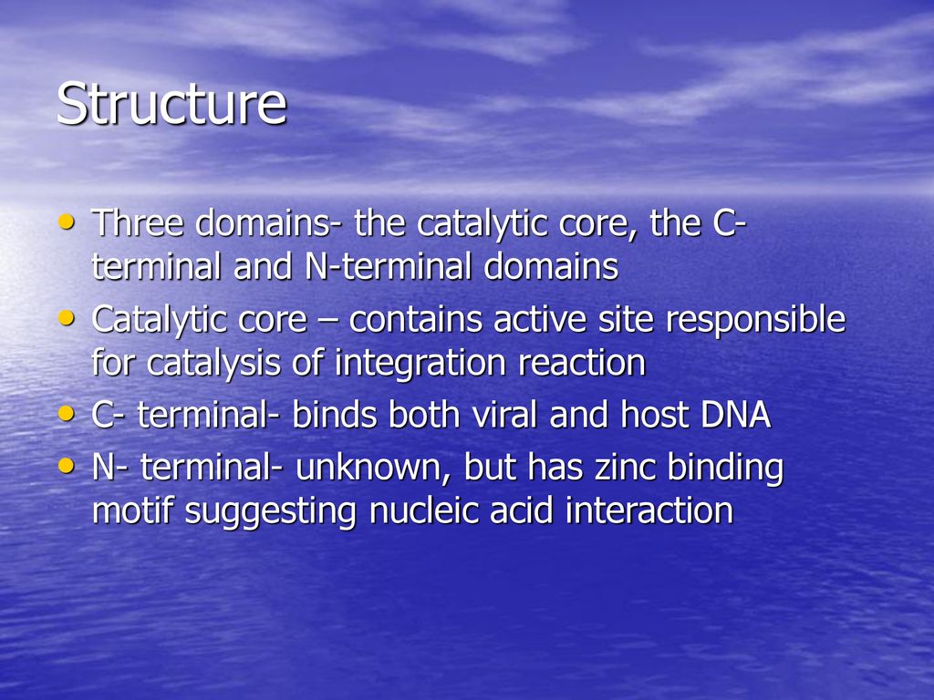 Structure Three domains- the catalytic core, the C- terminal and N-terminal domains.