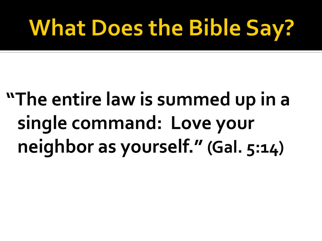 I John 5 1 13 Life In Christ Ppt Download i-john-5-1-13-life-in-christ-ppt-download