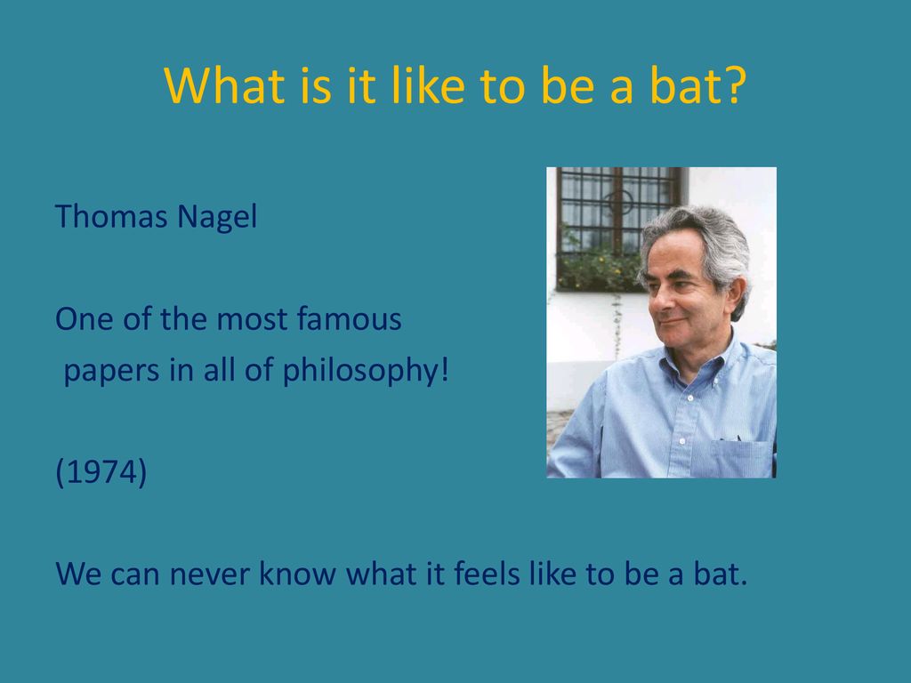The Mind-Body Problem & What it is like to be a bat - ppt download