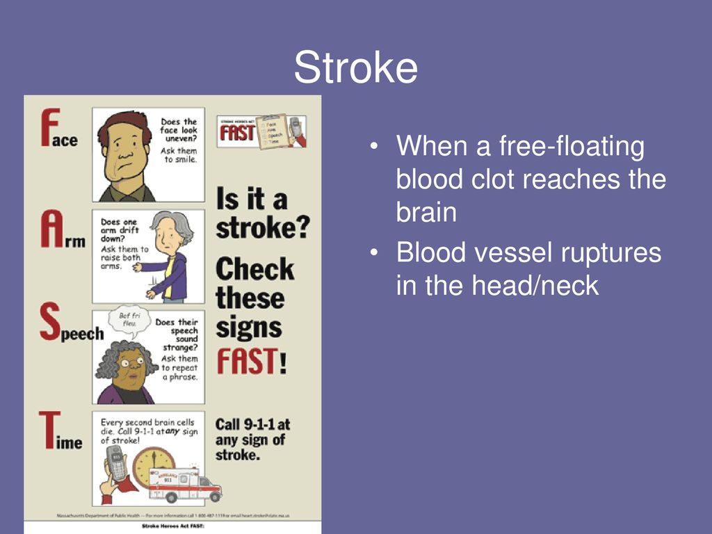 Regulation: Nervous System - ppt download