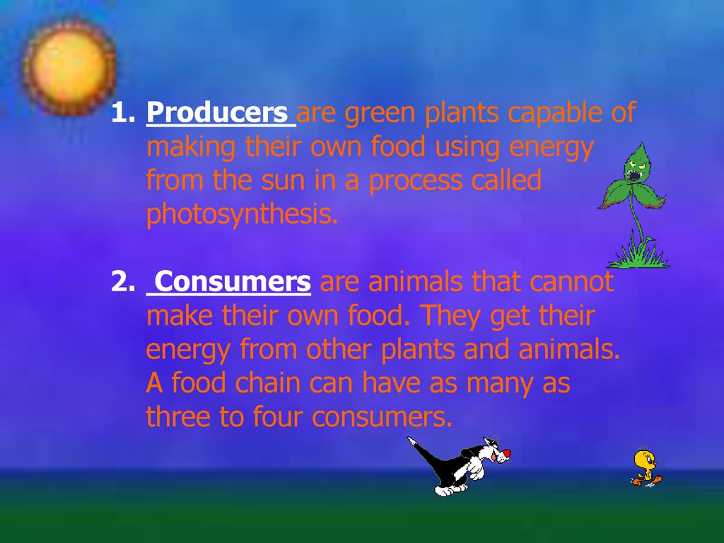 Food Chains Notes Ppt Download food-chains-notes-ppt-download