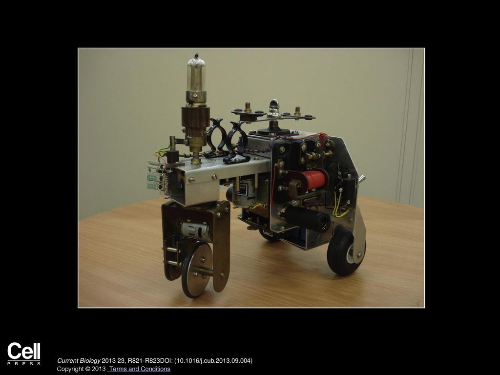 Towards living machines ppt download