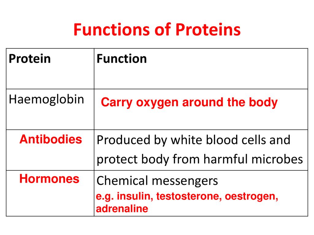 National 5 Cell Biology Proteins. National 5 Cell Biology Proteins ...