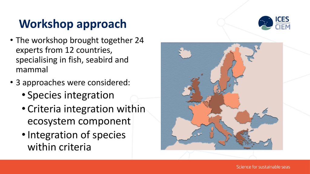 Workshop approach Species integration