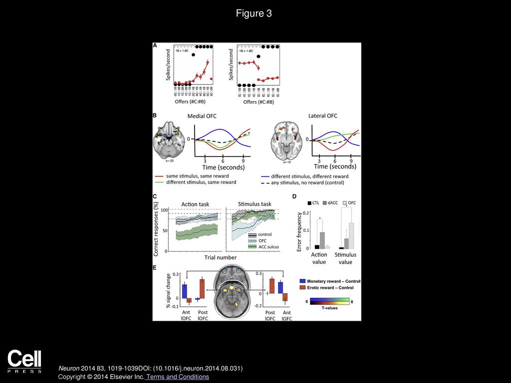 The Neural Network Underlying Incentive-Based Learning: Implications ...