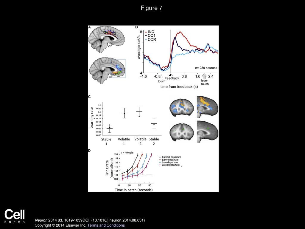 The Neural Network Underlying Incentive-Based Learning: Implications ...