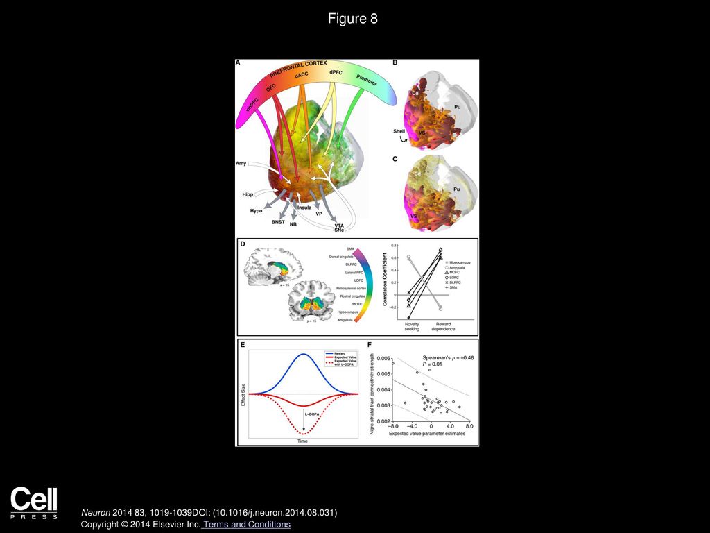 The Neural Network Underlying Incentive-Based Learning: Implications ...