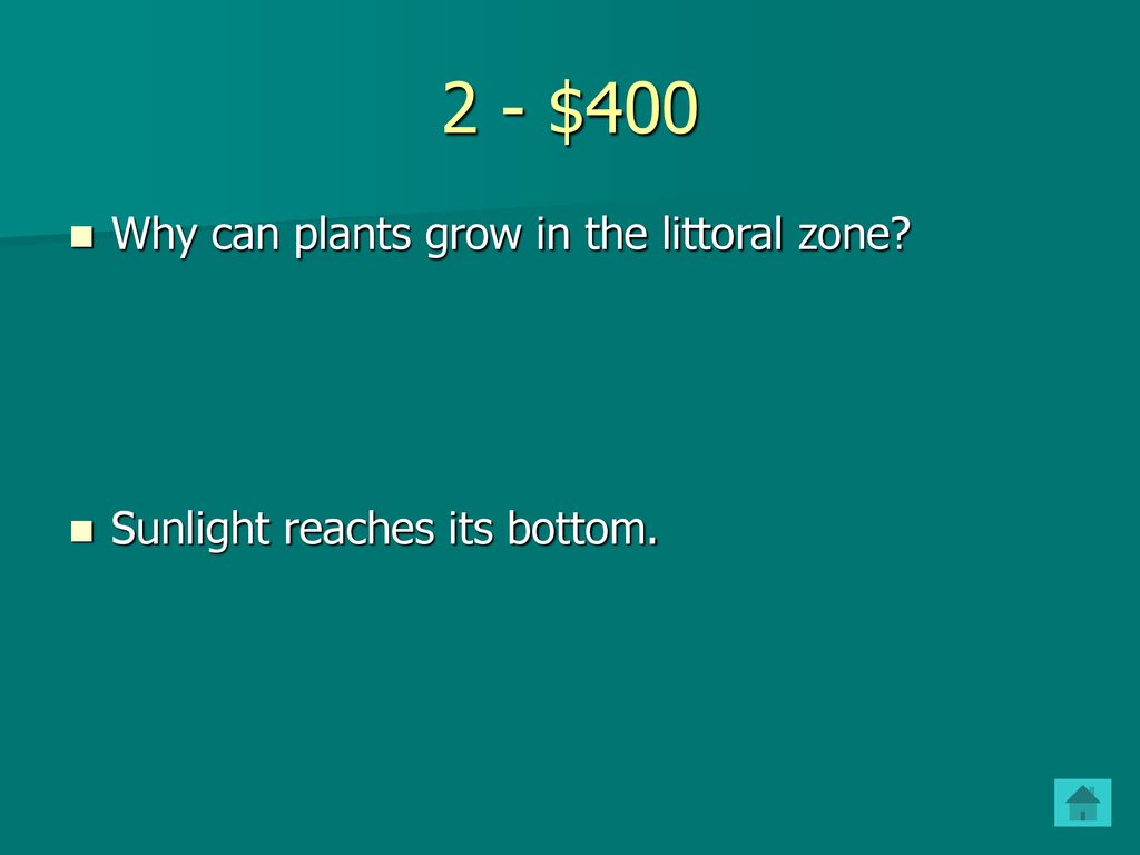 Jeopardy Final Jeopardy BRILLIANT BIOMES OCEAN ZONES MARINE LIFE OCEAN jeopardy-final-jeopardy-brilliant-biomes-ocean-zones-marine-life-ocean