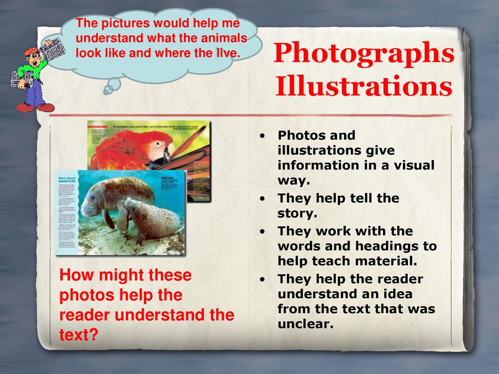 Photographs Illustrations