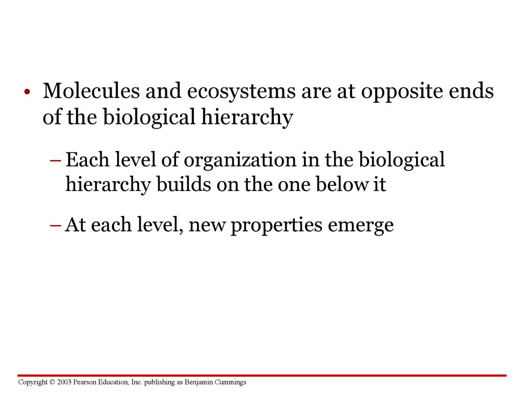 CHAPTER 2 The Chemical Basis of Life ppt download
