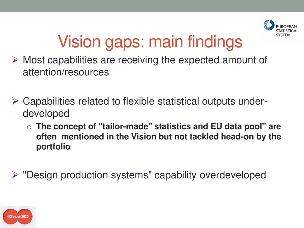 Vision gaps: main findings