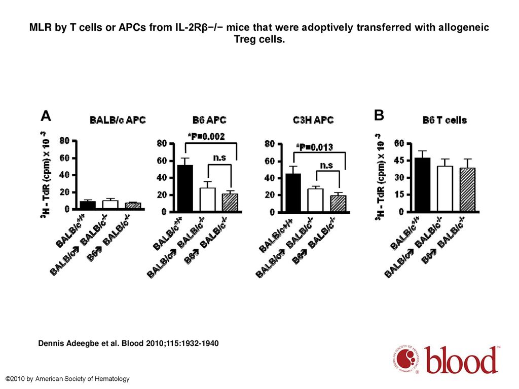 MLR by T cells or APCs from IL-2Rβ−/− mice that were adoptively transferred with allogeneic Treg cells.