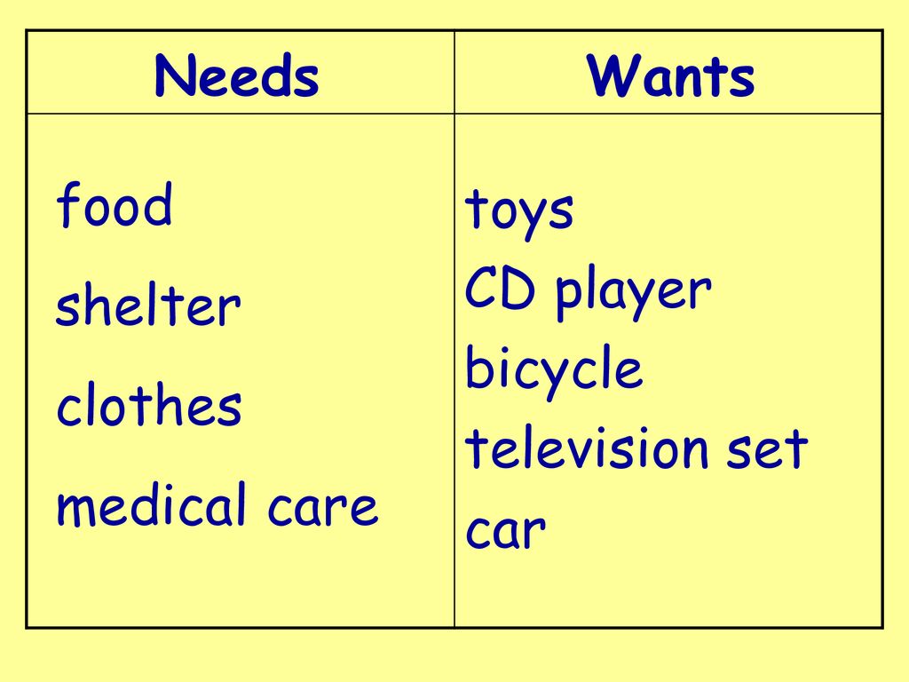toys CD player bicycle television set car Needs Wants food shelter clothes medical care