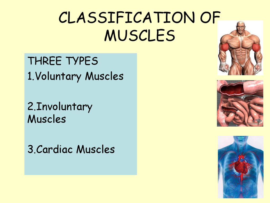 GCSE PE Theory Unit 8 Lesson 4 Ppt Download gcse-pe-theory-unit-8-lesson-4-ppt-download