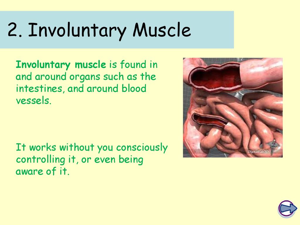 GCSE PE Theory Unit 8 Lesson 4 Ppt Download gcse-pe-theory-unit-8-lesson-4-ppt-download