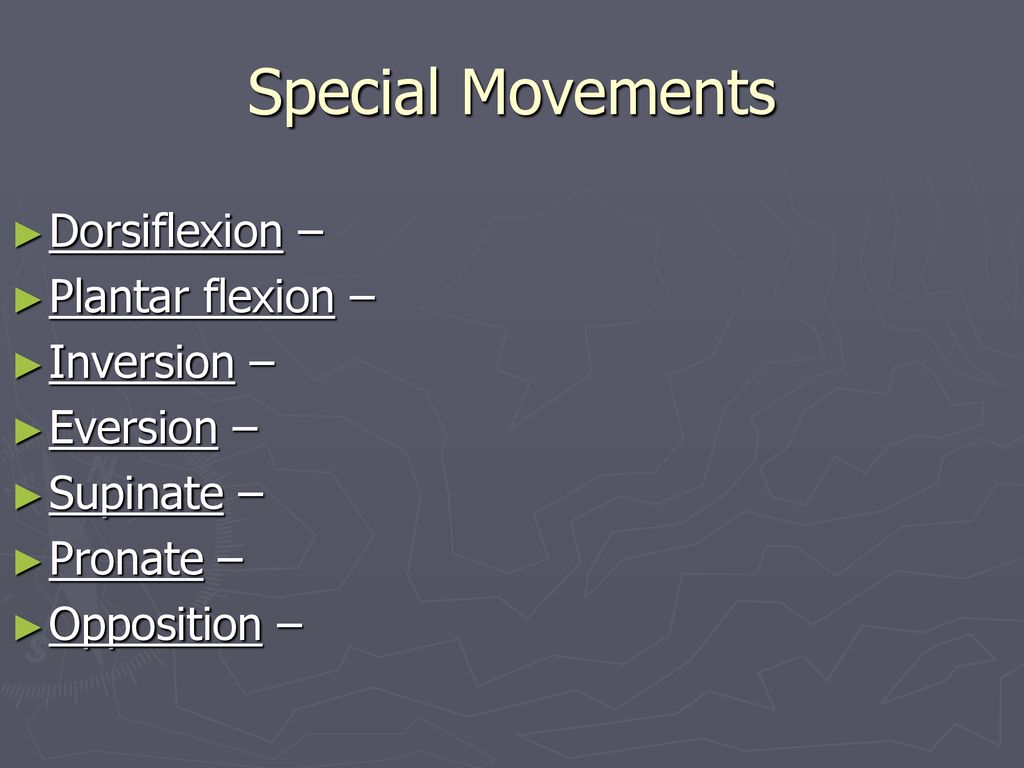 Dorsiflextion & plantar flexion : special movement. Dorsiflexion