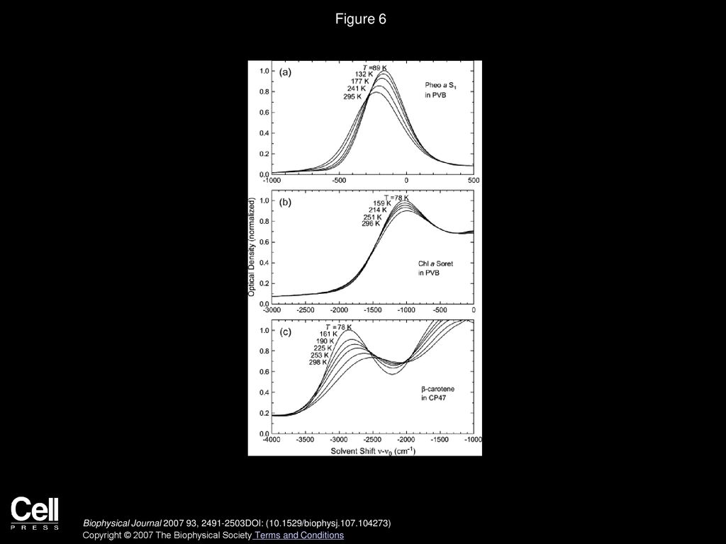 I renge r van grondelle j p dekker biophysical journal ppt download