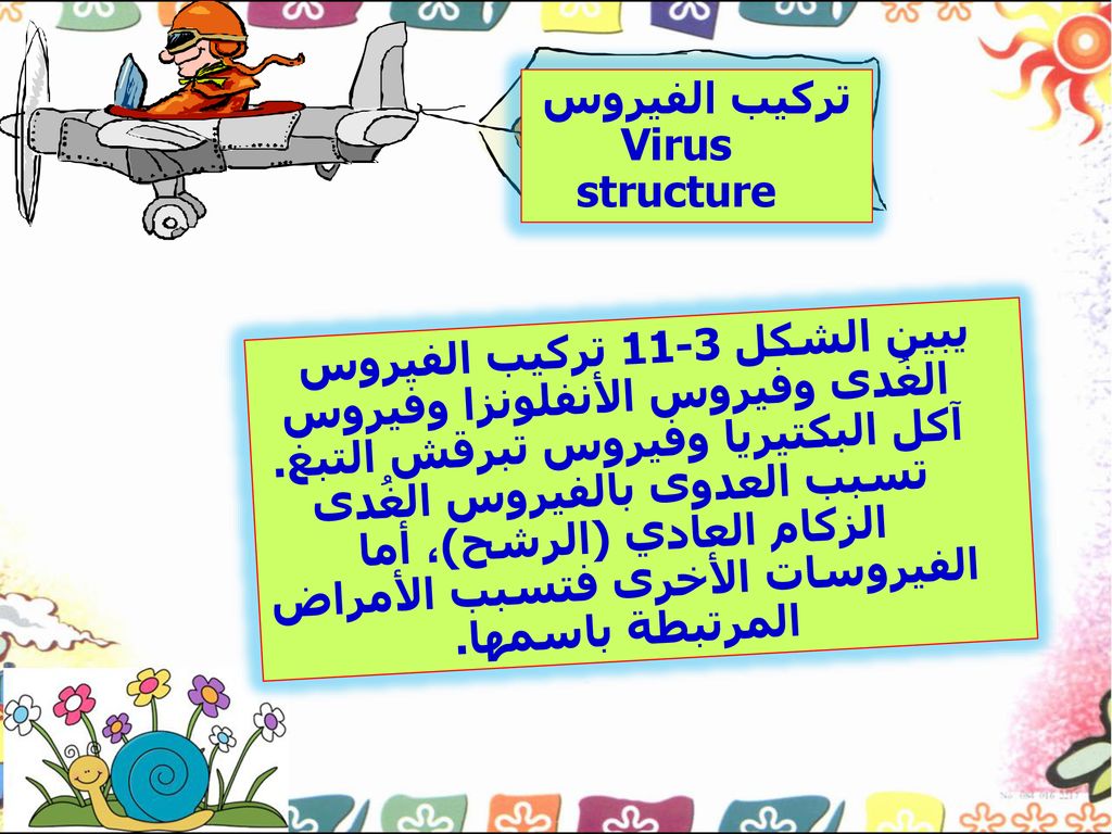 تركيب الفيروس Virus structure