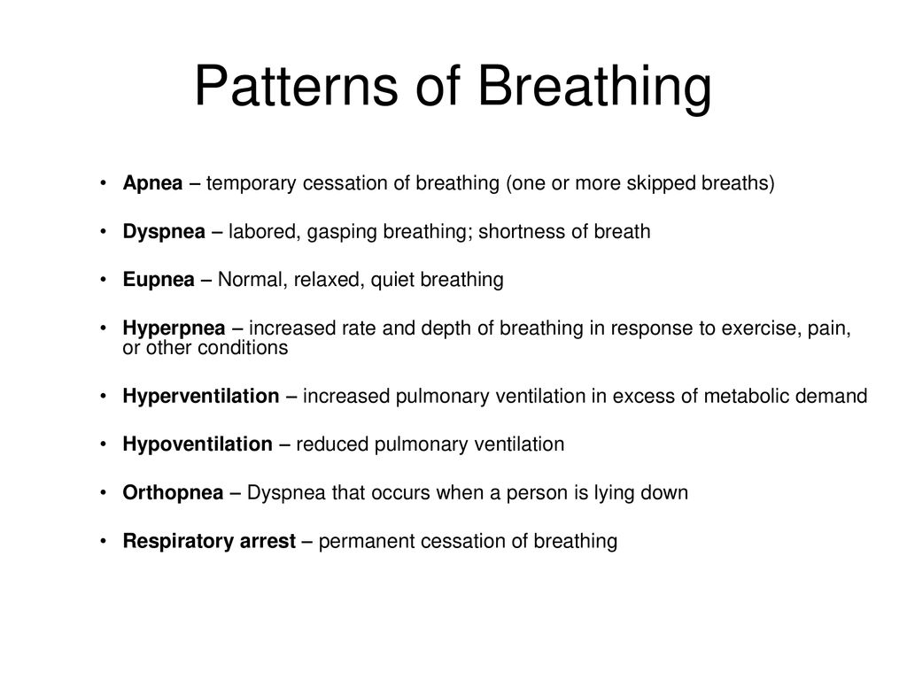Respiratory Physiology ppt download